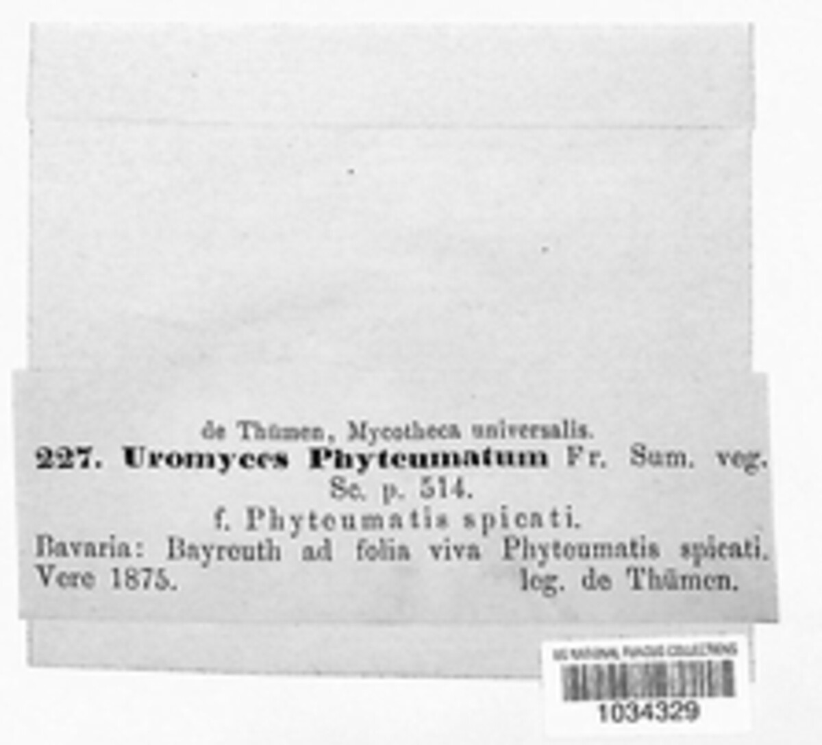 Uromyces phyteumatum image